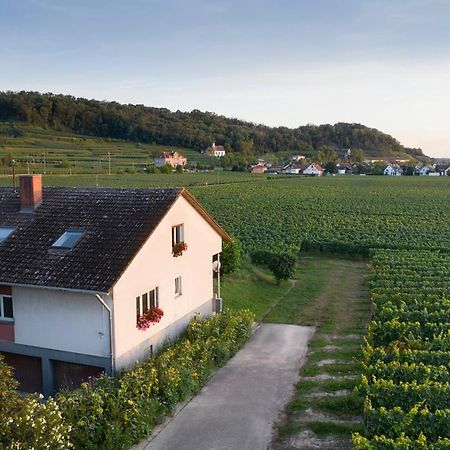 Ferienwohnung Mit 65Qm Niederrotweil 外观 照片