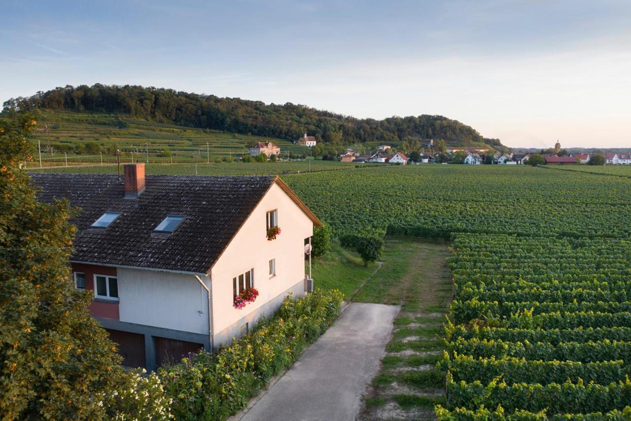 Ferienwohnung Mit 65Qm Niederrotweil 外观 照片