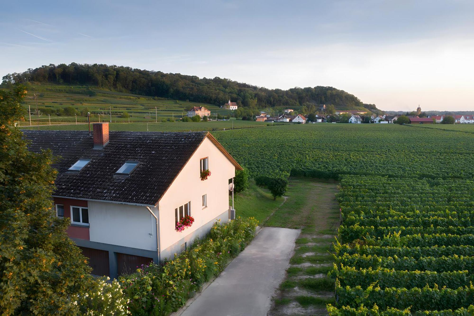 Ferienwohnung Mit 65Qm Niederrotweil 外观 照片